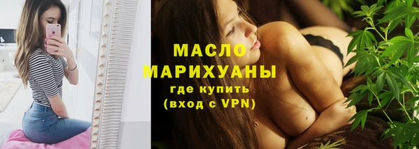 индика Надым