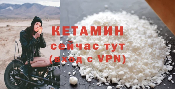 индика Надым