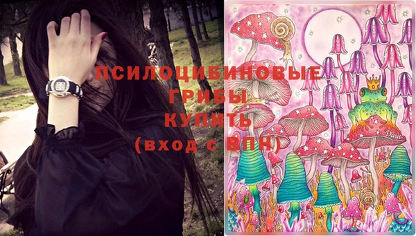 мяу мяу мука Абаза