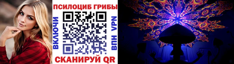 Галлюциногенные грибы Psilocybe где купить наркоту Юрга