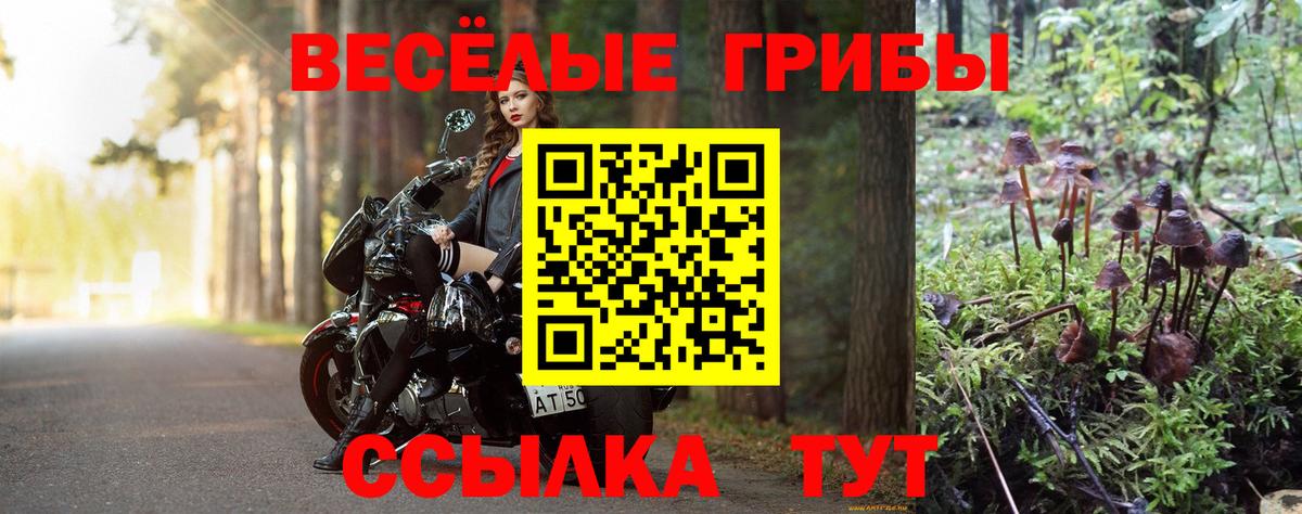 Псилоцибиновые грибы прущие грибы  Вход с VPN  Юрга 